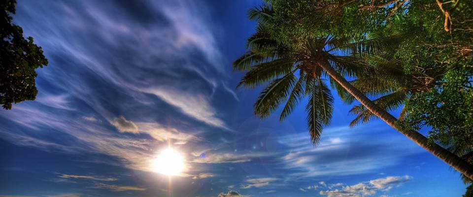 slider-image-3
